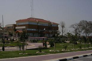 Palestine Gaza farmer