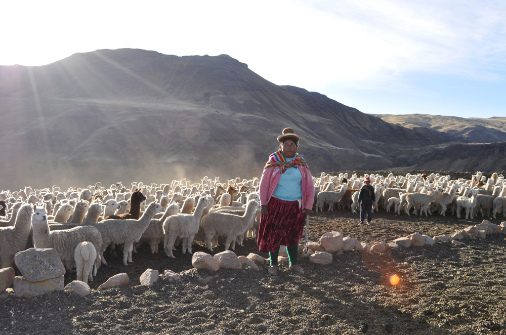 Witness Trouble at the Top of the World - Gallery