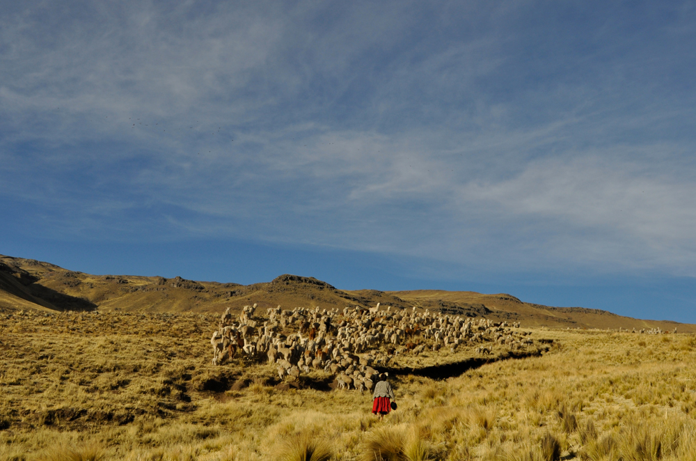 Witness Trouble at the Top of the World - Gallery