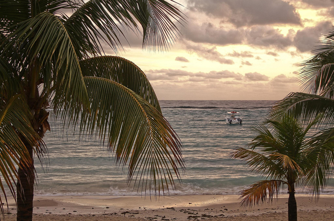 Palm trees wave in front of the sea and a boat, Jamaica