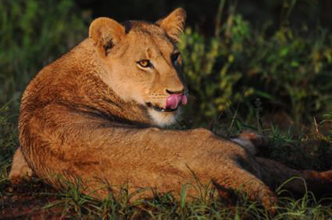 earthrise - new best friends