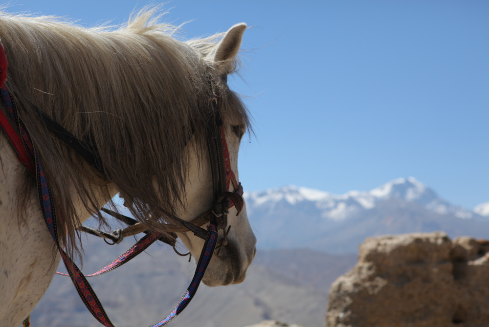 Al Jazeera Correspondent - Mustang