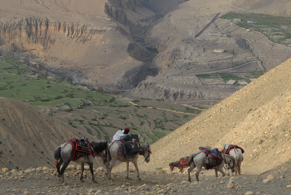 Al Jazeera Correspondent - Mustang