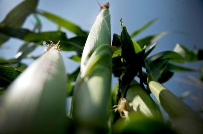 Price increase of food products expected