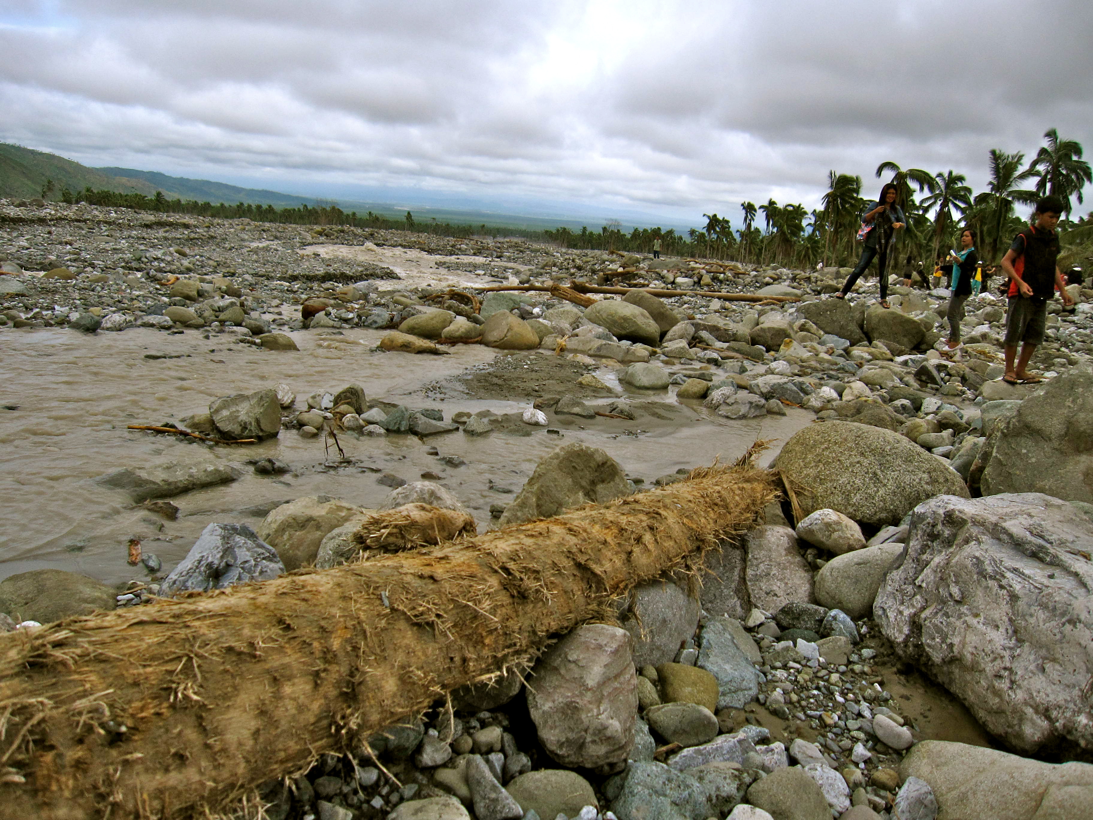 Aftermath of typhoon bopha