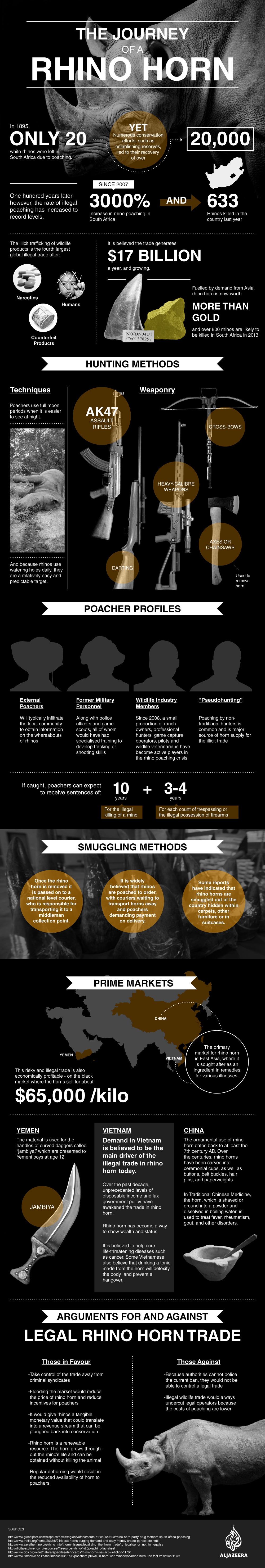 Infographic the journey of a rhino horn