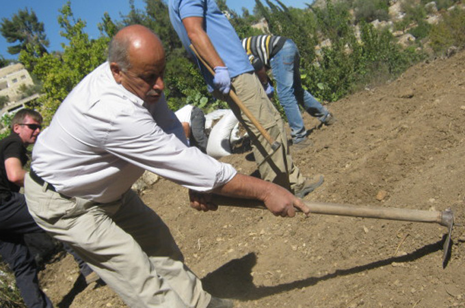 Mustafa 'Aweinah, a Battiri farmer, ploughs his field with the help of British volunteers [Pierre Klochendler/IPS]