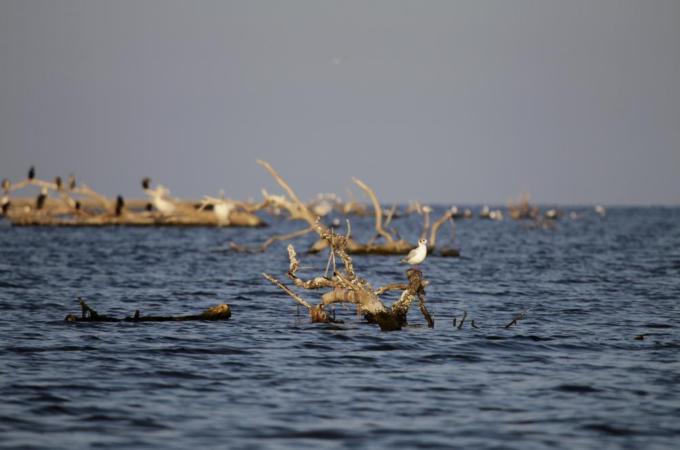 Only 10 percent of the bodies recovered from the Evros river are ever identified [Getty]