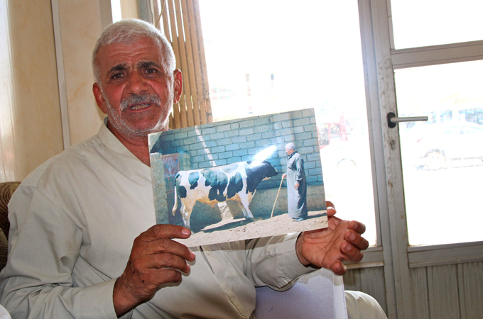 Iraqi farmer Tawfiq Abbosh Jubbo Sakat says Islamic State fighters stole all his cows [Sophie Cousins/Al Jazeera]