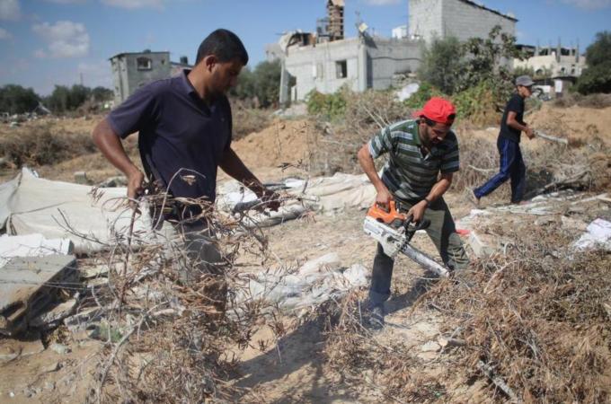 'In every war, [Israel] invades the land but we plant it again,' said one Gazan farmer [AFP]