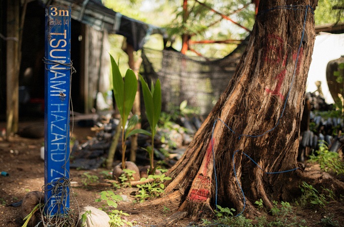 A mangrove forest sheltered Baan Nai Rai village, saving hundreds of lives [Vincenzo Floramo/Al Jazeera]
