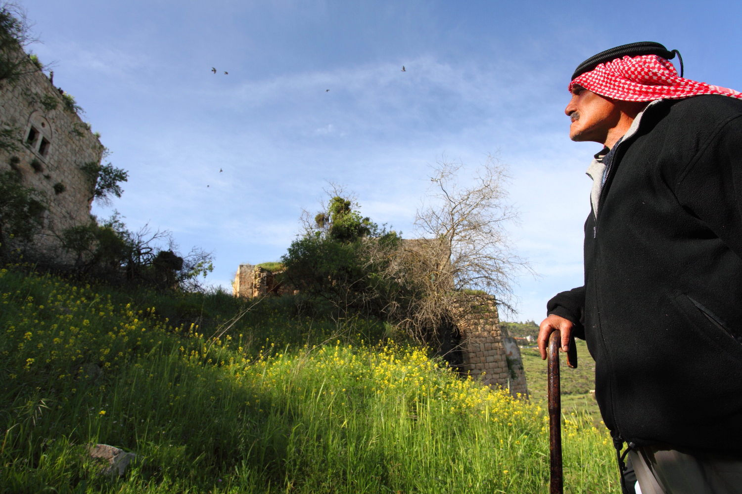 RESTRICTED DO NOT USE