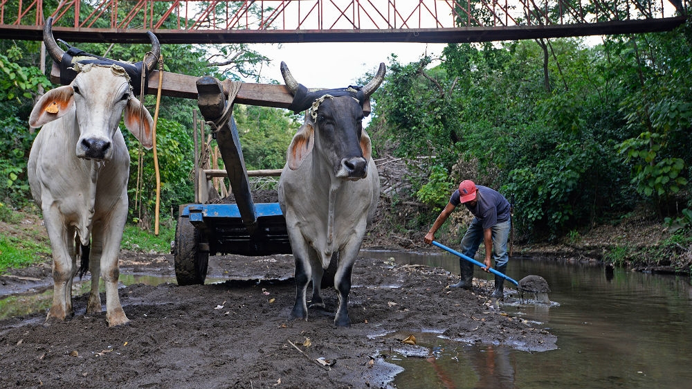 Nicaragua Farmers