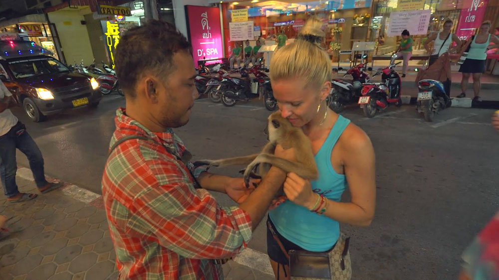 Jungle animals are available on Thai streets for the entertainment of tourists for a small fee [Oliver West/Al Jazeera]