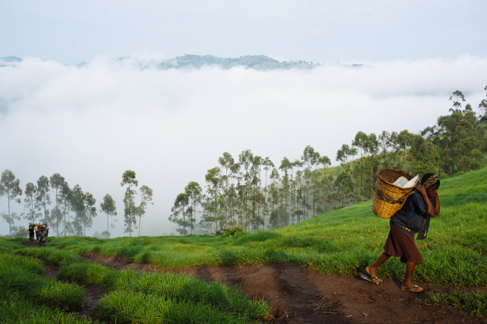 DRC Phil/ DO NOT USE/ RESTRICTED