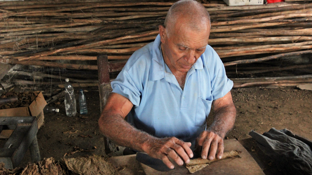A roller deftly spins up a cigar at the Vegas Robaino company's Chuchillas de Barbacoa plantation in western Cuba [Robert Kennedy/Al Jazeera]