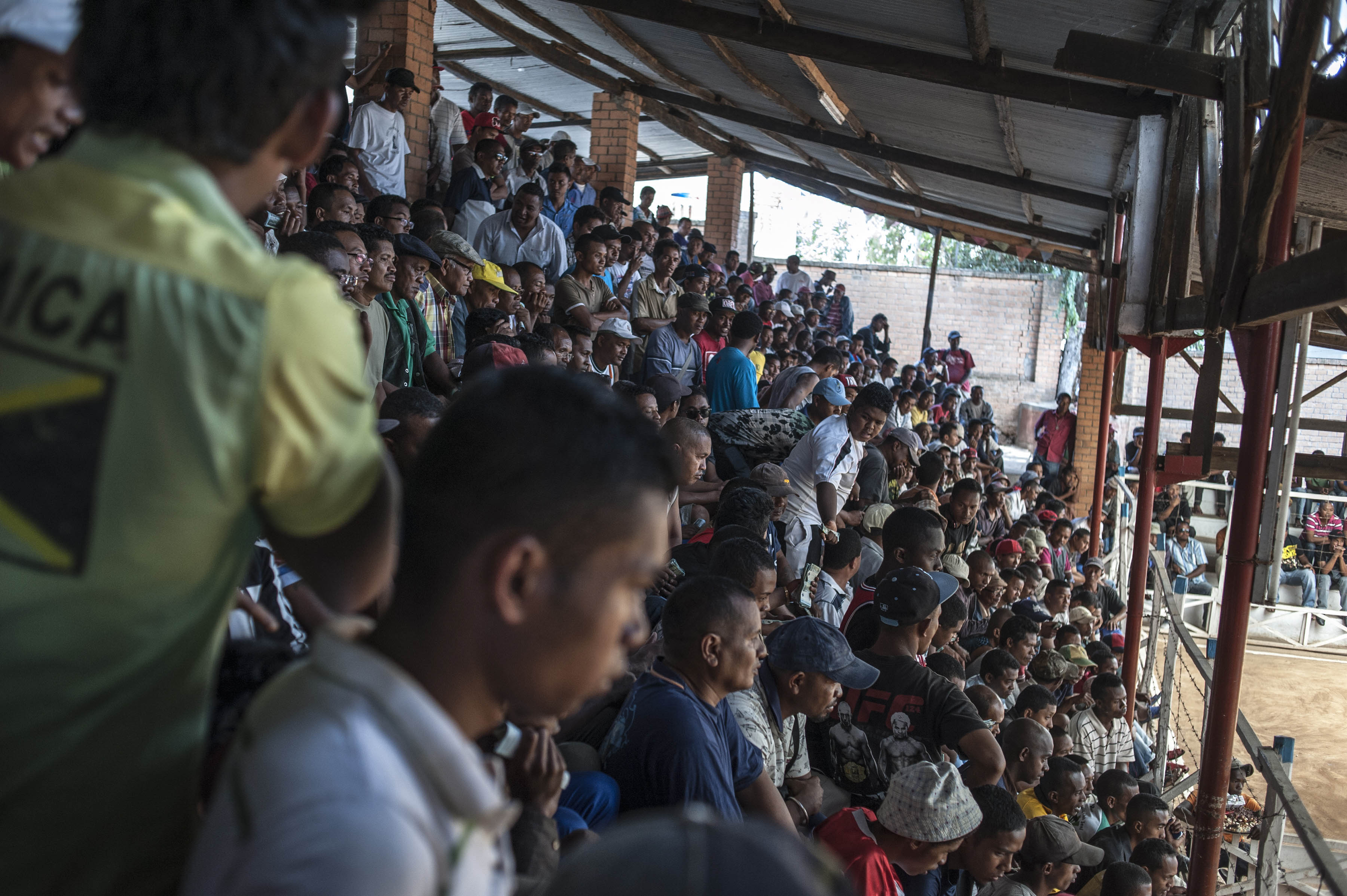 cockfighting in Madagascar/ DO NOT USE/ RESTRICTED