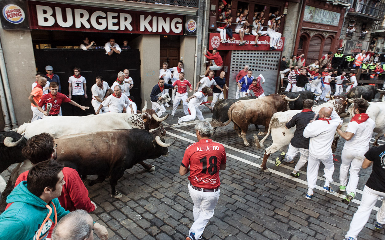 Bull run/ DO NOT USE/ RESTRICTED