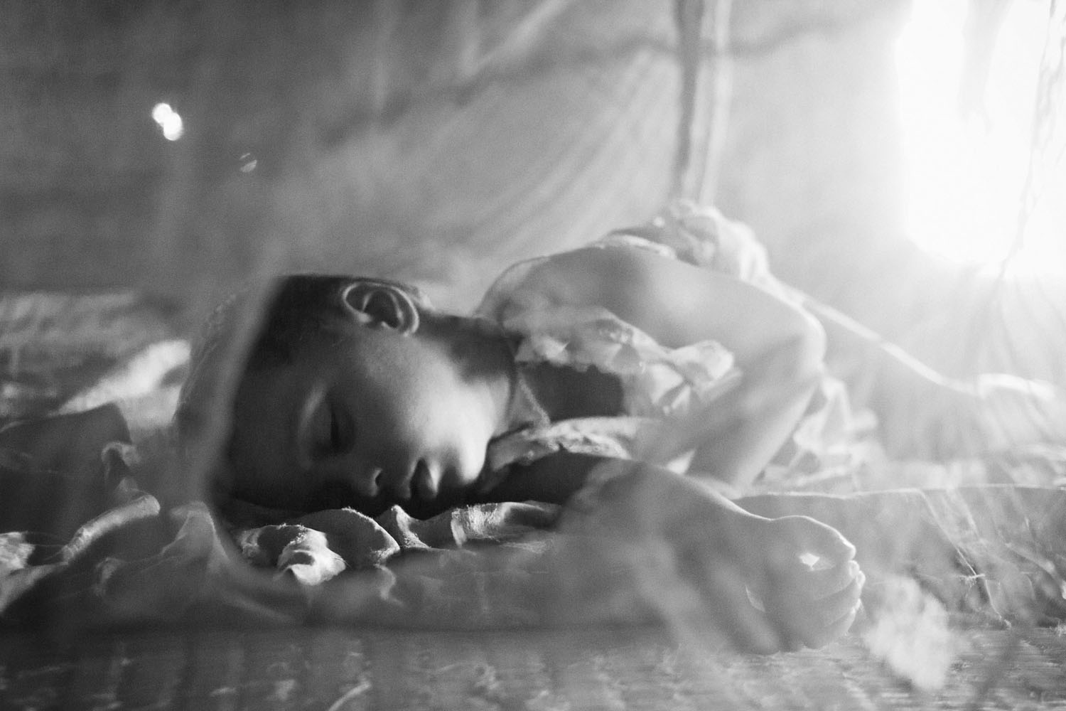 The Hungry Tide/ DO NOT USE/ RESTRICTED