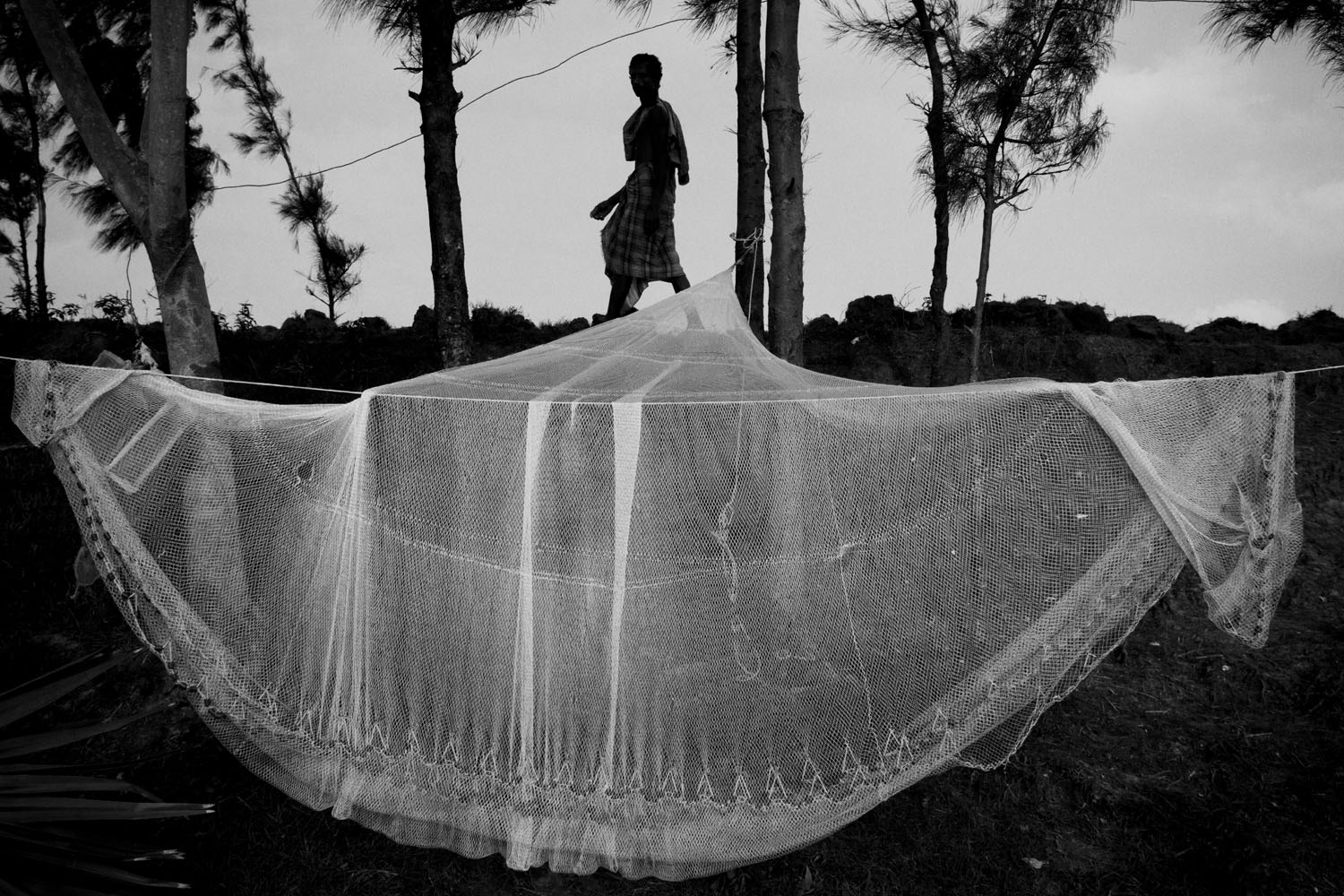 The Hungry Tide/ DO NOT USE/ RESTRICTED