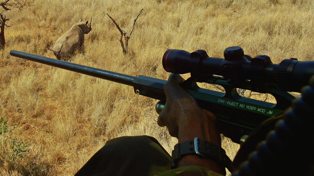 Ensuring the security of rhinos at reserves has become increasingly more challenging and costly [Carl de Souza/AFP-Getty Images]