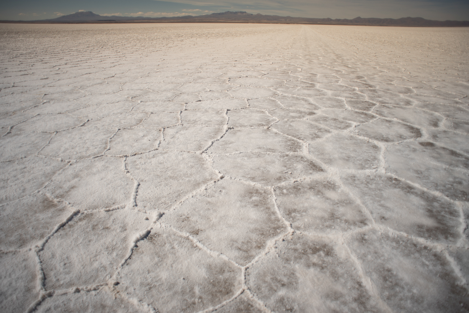 Birilis / DO NOT USE / RESTRICTED