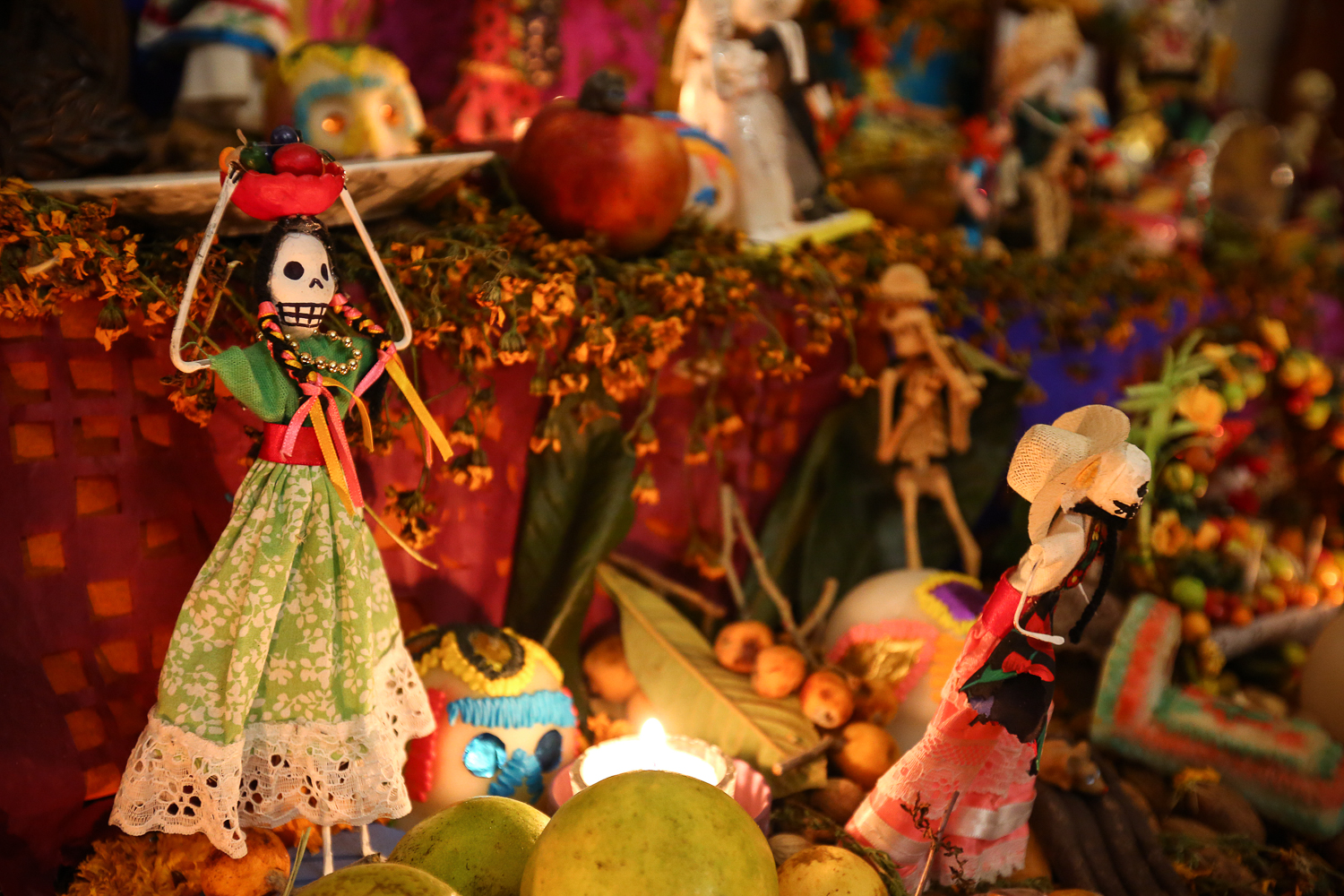 Day of the dead/ DO NOT USE/ RESTRICTED