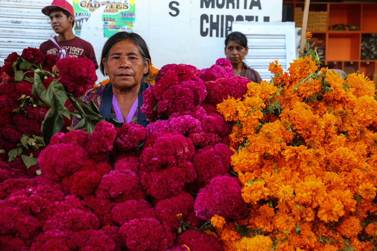 Day of the dead/ DO NOT USE/ RESTRICTED