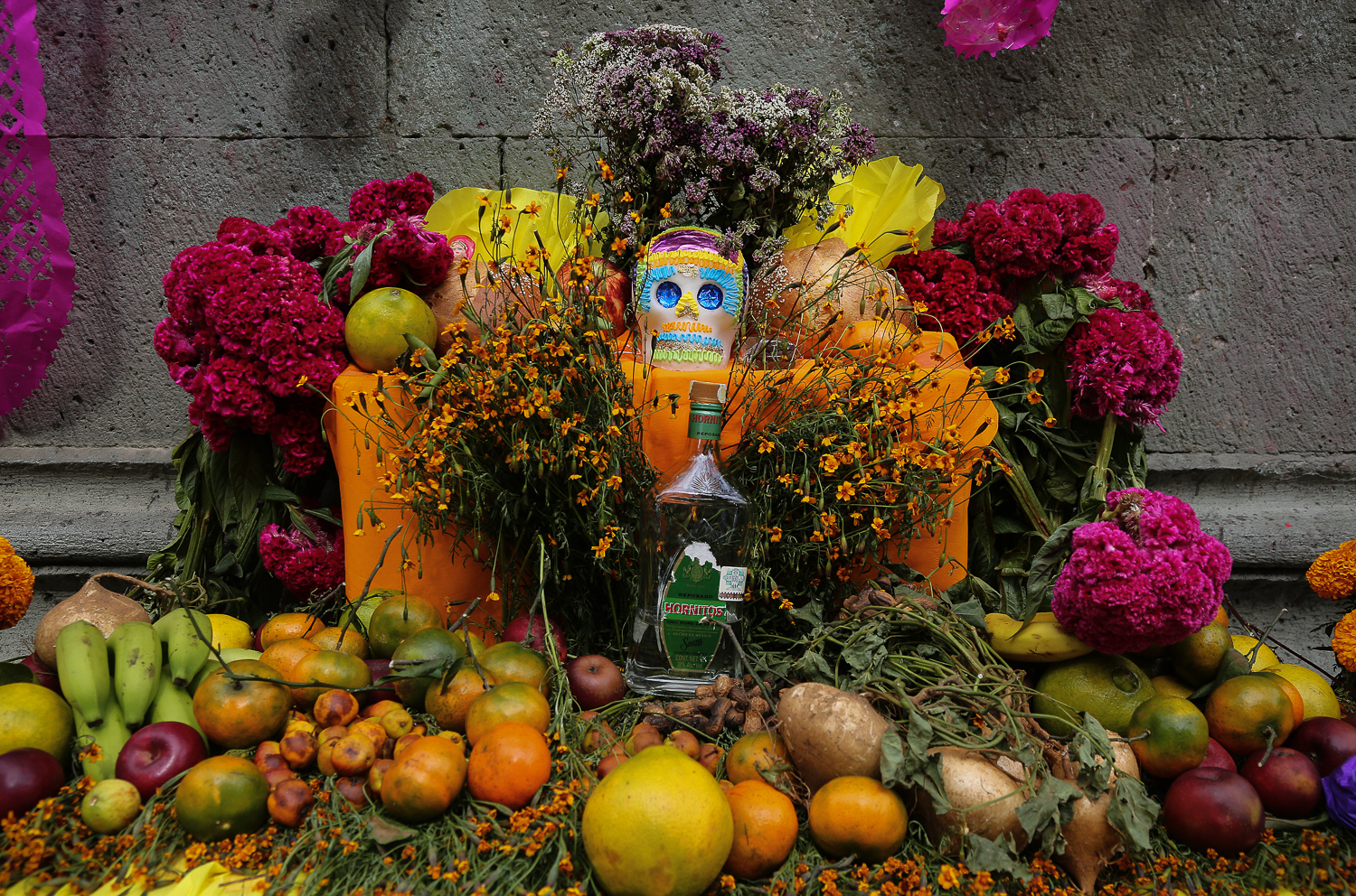 Day of the dead/ DO NOT USE/ RESTRICTED