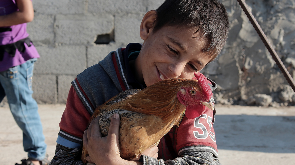 Wissam hugs his favourite chicken [Matthew Vickery/Al Jazeera]