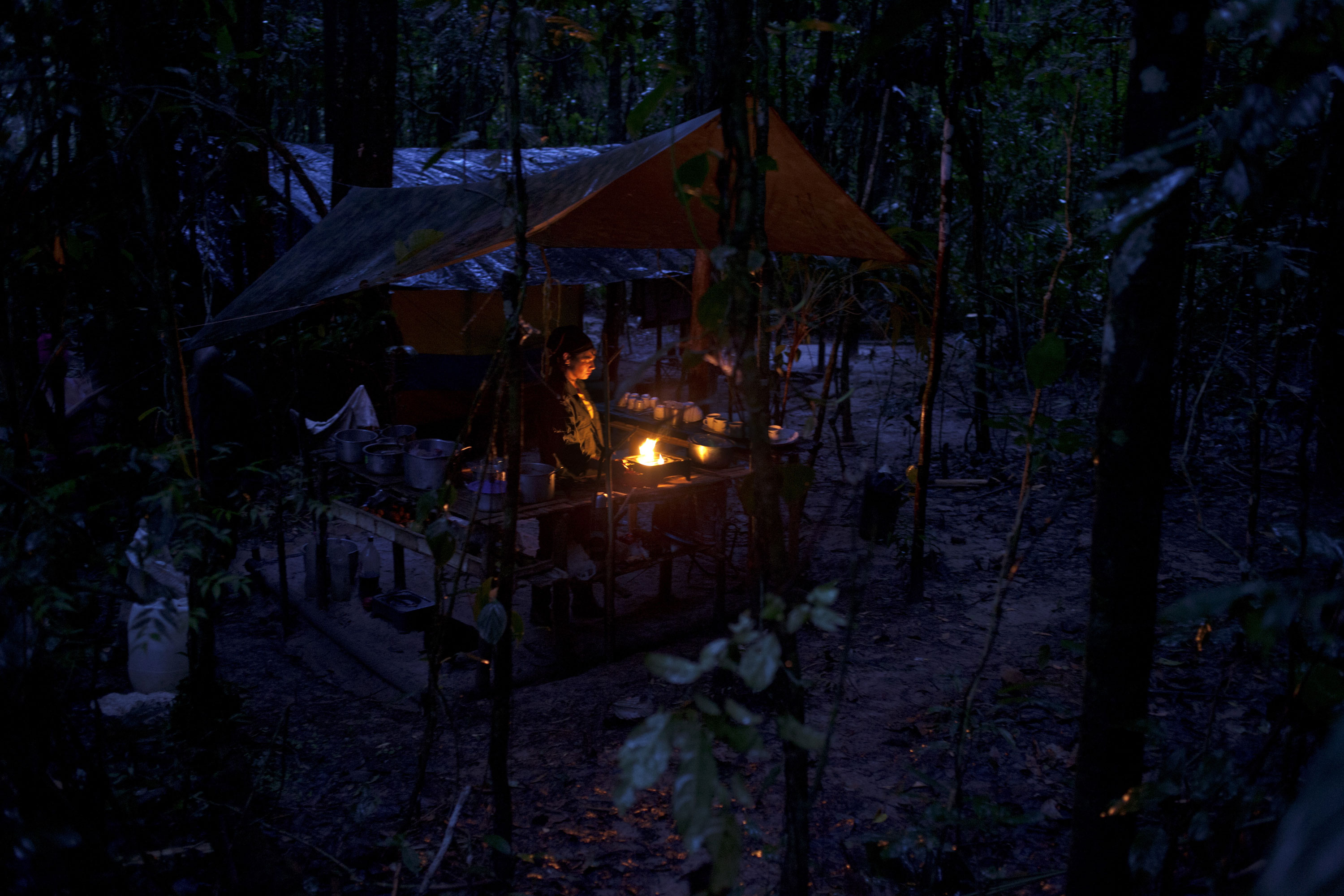 Please Do Not Use/FARC Rebels