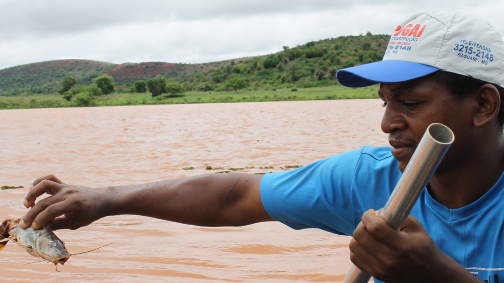 Fisherman Moises Gomes picks a dead fish from the Rio Doce before pulling it apart to show it is full of mud [Sam Cowie/Al Jazeera]