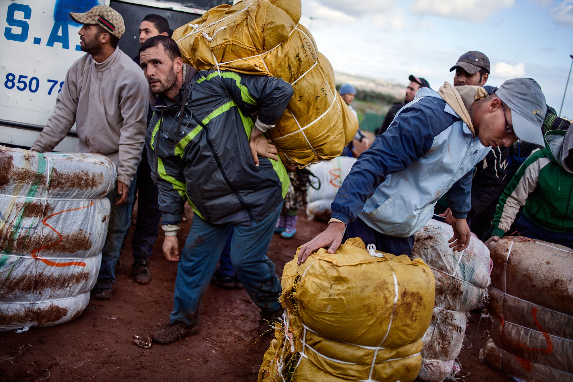 With life in tow/ Please Do Not Use