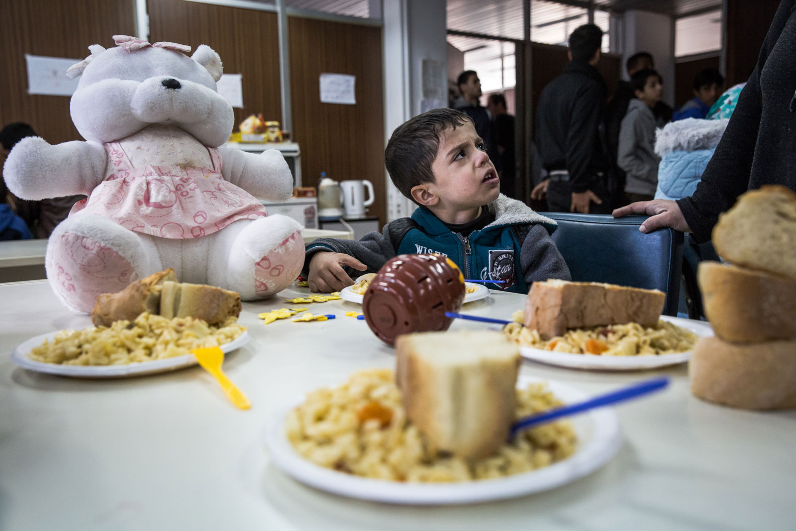 The unwanted found a home for New Year in Athens/ Please Do NOt Use