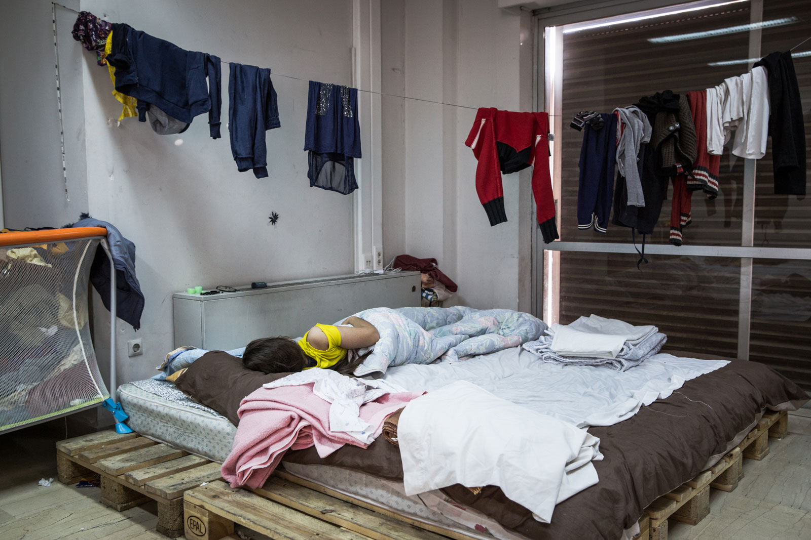 The unwanted found a home for New Year in Athens/ Please Do NOt Use