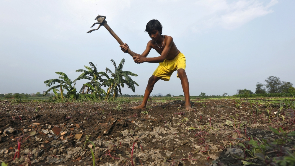 A farmer ploughs a field in Kolkata