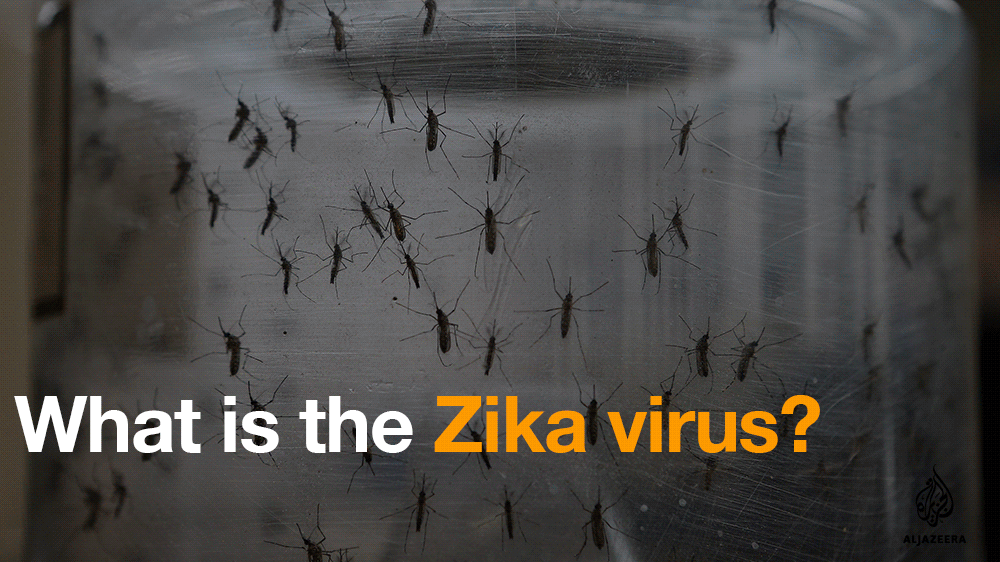Zika virus gif