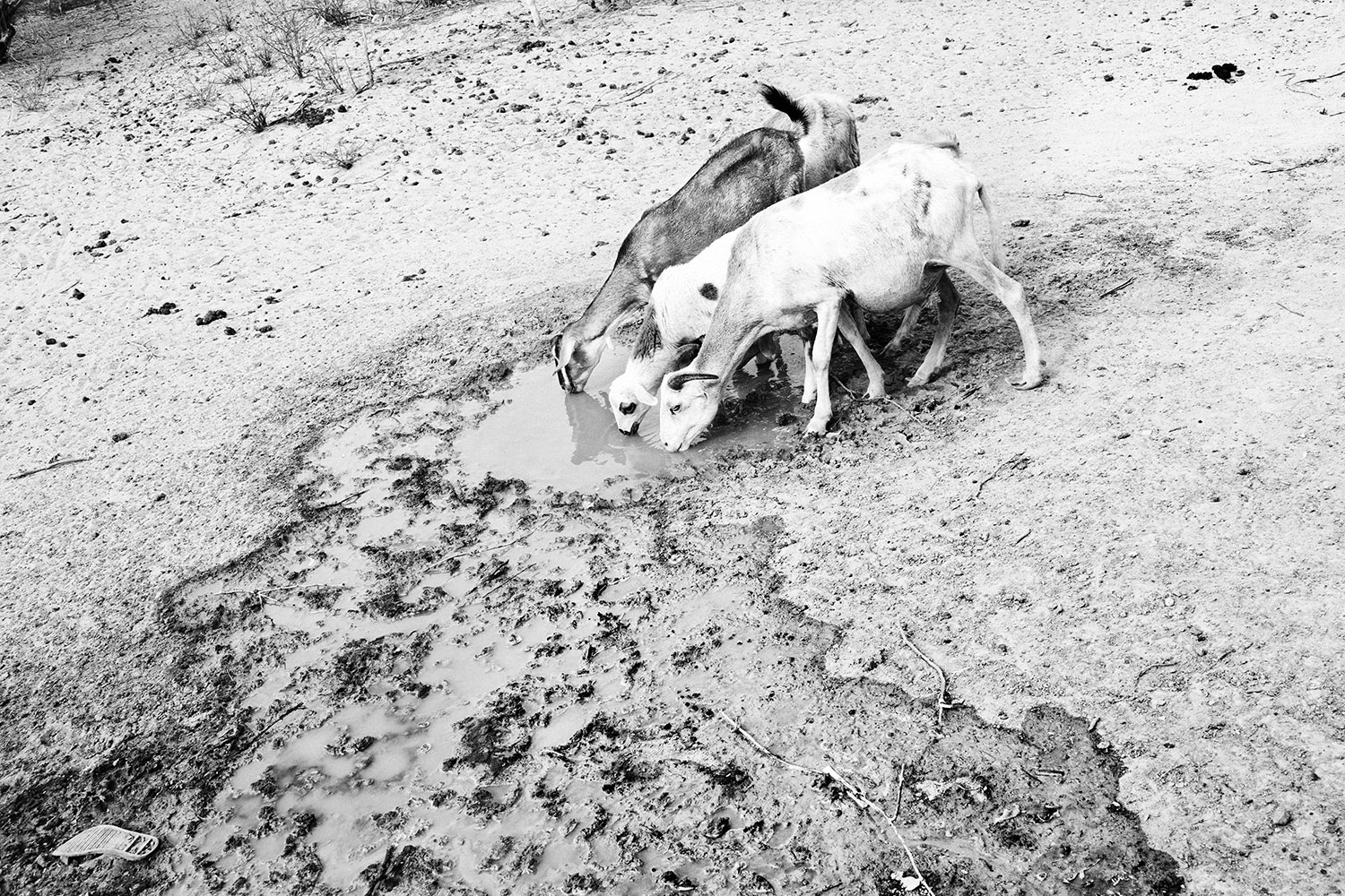 Please Do Not Use/Abandoned Wayuu People