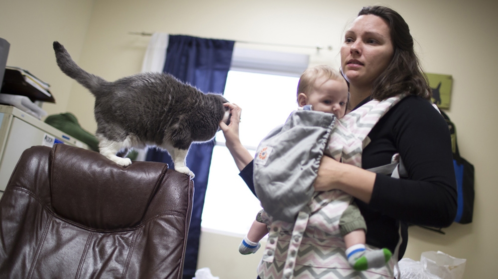 Rebecca Warren with son, Zach, and the office cat, Peanut. Warren, executive director of the Monroe County Humane Association, brings her Zach to work each day [James Brosher/Al Jazeera] 