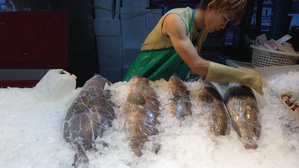 Fault Lines - Seafood slaves - DO NOT USE