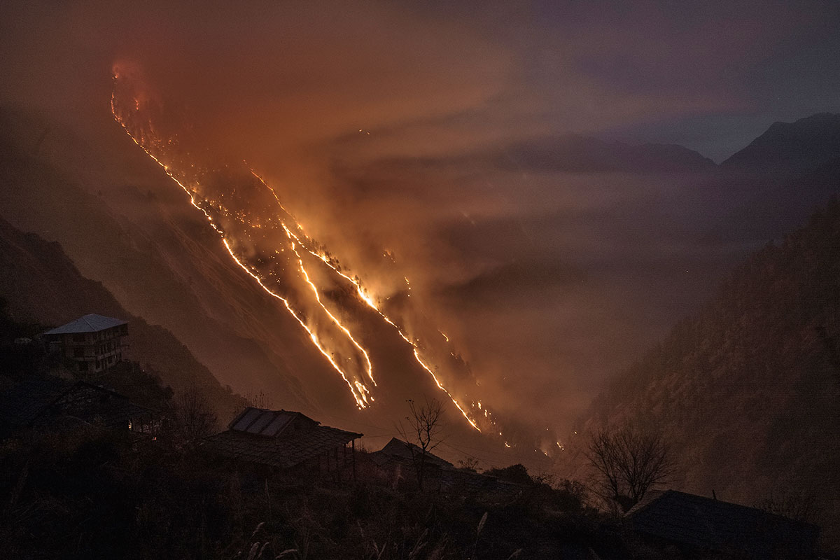 Indian cannabis farmers/ Please Do Not Use