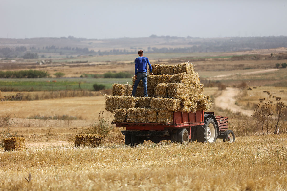 Gaza farmers working on borders with Israel/ Please Do Not Use