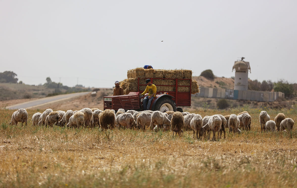 Gaza farmers working on borders with Israel/ Please Do Not Use