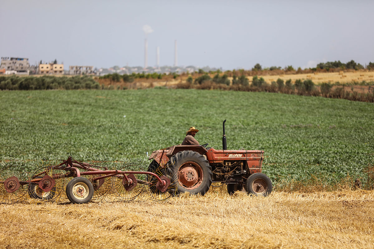 Gaza farmers working on borders with Israel/ Please Do Not Use