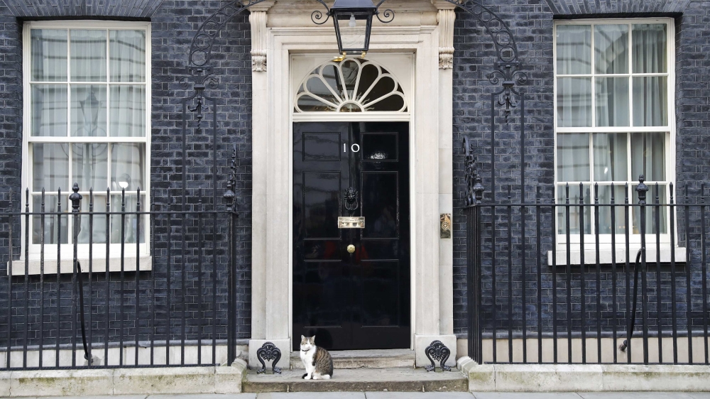The Downing Street cat sits outside number 10 in Westminster, London