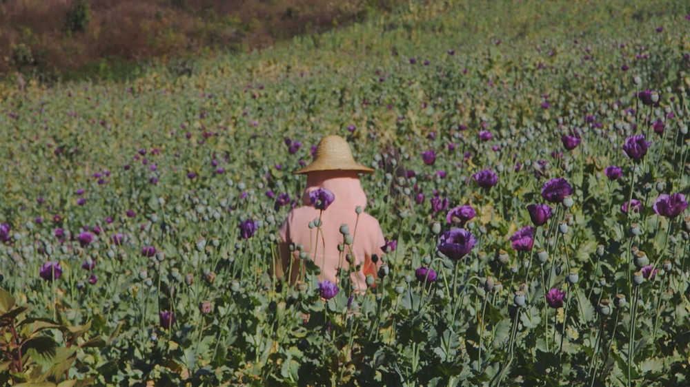 Myanmar''s Poppylands