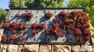 'Ecoboard', which is made of recycled soft plastics, can be used to make a variety of items, including planters [Photo courtesy of Ziad Abichaker]