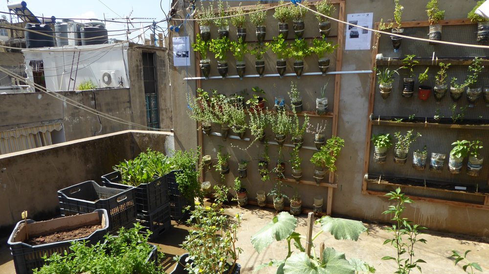 Reused crates and sawed-off water bottles are repurposed as planters [Olivia Alabaster/Al Jazeera]