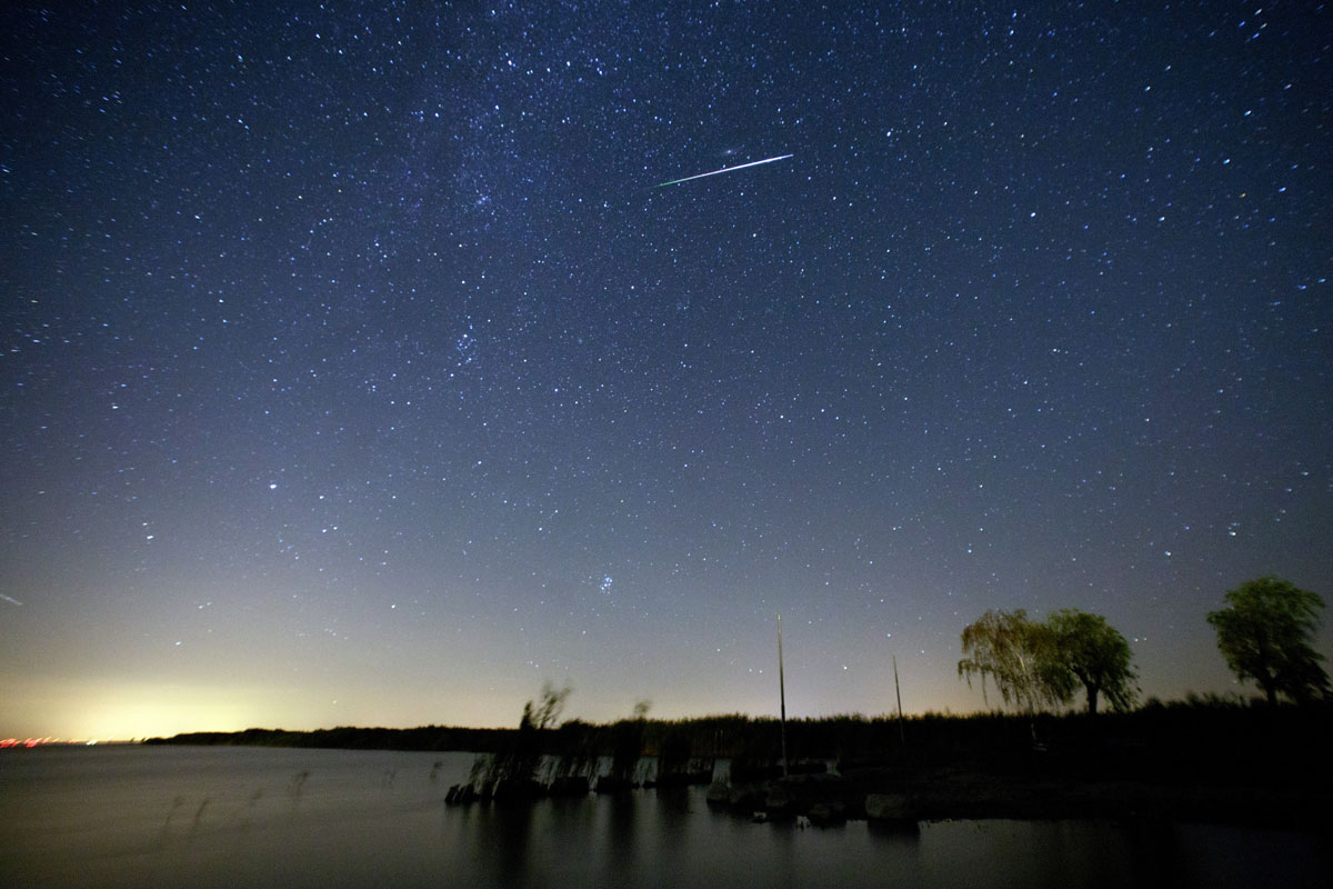 Perseid Meteor Shower