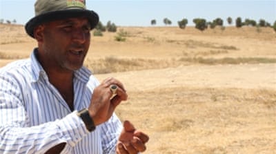 Araqib resident Aziz al-Turi stands near a section of forest planted on the village's historical land [Mary Pelletier/Al Jazeera]